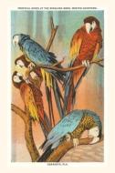 Vintage Journal Macaws, Sarasota, Florida edito da FOUND IMAGE PR
