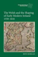 The Welsh and the Shaping of Early Modern Ireland, 1558-1641 di Rhys Morgan edito da Boydell Press