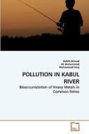 POLLUTION IN KABUL RIVER di Habib Ahmad, Ali Muhammad, Muhammad Siraj edito da VDM Verlag Dr. Müller e.K.