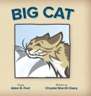 Big Cat di Adam B. Ford edito da H BAR PR