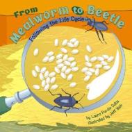 From Mealworm to Beetle: Following the Life Cycle di Laura Purdie Salas edito da Picture Window Books