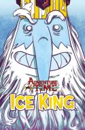 Adventure Time Ice King di Titan Comics edito da Titan Books Ltd