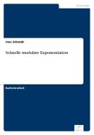 Schnelle modulare Exponentiation di Uwe Schmidt edito da Diplom.de