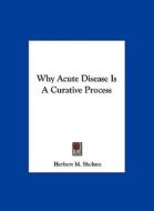 Why Acute Disease Is a Curative Process di Herbert M. Shelton edito da Kessinger Publishing