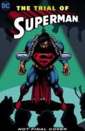 Superman: The Trial of Superman 25th Anniversary Edition di Dan Jurgens, Louise Simonson edito da D C COMICS
