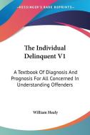 The Individual Delinquent V1: A Textbook Of Diagnosis And Prognosis For All Concerned In Understanding Offenders di William Healy edito da Kessinger Publishing, Llc