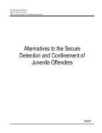 Alternatives to the Secure Detention and Confinement of Juvenile Offenders di U. S. Department of Justice edito da Createspace