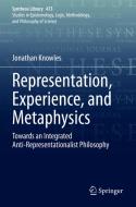Representation, Experience, and Metaphysics di Jonathan Knowles edito da Springer International Publishing