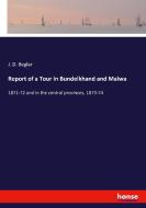 Report of a Tour in Bundelkhand and Malwa di J. D. Beglar edito da hansebooks
