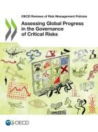 Assessing Global Progress In The Governance Of Critical Risks di Oecd edito da Organization For Economic Co-operation And Development (oecd