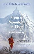 From A Mountain In Tibet di LAMA YESHE RINPOCHE edito da Penguin Books
