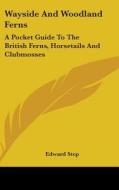 Wayside and Woodland Ferns: A Pocket Guide to the British Ferns, Horsetails and Clubmosses di Edward Step edito da Kessinger Publishing
