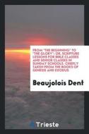 From the Beginning to the Glory; Or, Scripture Lessons for Bible Classes and Senior Classes in Sunday Schools. Chiefly T di Beaujolois Dent edito da LIGHTNING SOURCE INC