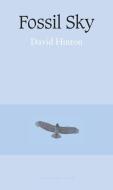 Fossil Sky di David Hinton edito da ARCHIPELAGO BOOKS