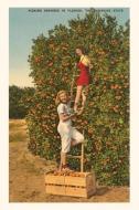 Vintage Journal Women Picking Oranges, Florida edito da FOUND IMAGE PR