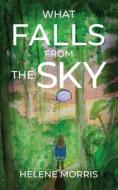 What Falls From the Sky di Helene Morris edito da MINDSTIR MEDIA