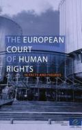 European Court of Human Rights - Facts and Figures (2011) di Directorate Council of Europe edito da Council of Europe
