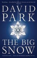 The Big Snow di David Park edito da Bloomsbury Publishing Plc