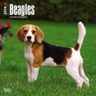 Beagles edito da Browntrout Publishers