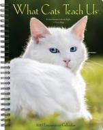What Cats Teach Us 2023 Engagement Calendar di Willow Creek Press edito da Willow Creek Press