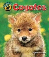 Coyotes di Ruth Strother edito da BEARPORT PUB CO INC