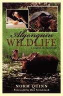 Algonquin Wildlife: Lessons in Survival di Norm Quinn edito da DUNDURN PR LTD