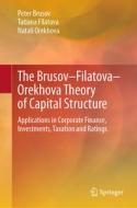 The Brusov¿Filatova¿Orekhova Theory of Capital Structure di Peter Brusov, Natali Orekhova, Tatiana Filatova edito da Springer International Publishing