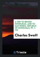 A Trip to British Honduras, and to San Pedro, Republic of Honduras, Pp. 1-123 di Charles Swett edito da LIGHTNING SOURCE INC