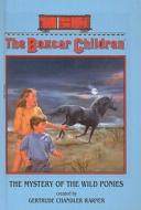 The Mystery of the Wild Ponies di Gertrude Chandler Warner edito da Perfection Learning