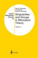 Singularities and Groups in Bifurcation Theory di Martin Golubitsky, David G. Schaeffer, Ian Stewart edito da Springer New York