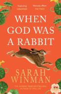 When God Was a Rabbit di Sarah Winman edito da Headline