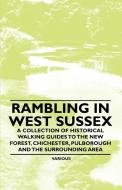 Rambling in West Sussex - A Collection of Historical Walking Guides to the New Forest, Chichester, Pulborough and the Su di Various edito da Adler Press