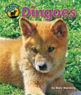 Dingoes di Mary Meinking edito da BEARPORT PUB CO INC