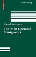 Topics in Operator Semigroups di Shmuel Kantorovitz edito da Springer Basel AG
