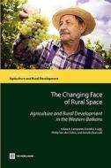 The Changing Face of Rural Space di Julian Lampietti edito da World Bank Group Publications