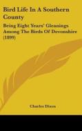 Bird Life in a Southern County: Being Eight Years' Gleanings Among the Birds of Devonshire (1899) di Charles Dixon edito da Kessinger Publishing