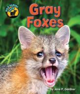 Gray Foxes di Jane P. Gardner edito da BEARPORT PUB CO INC