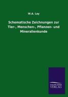 Schematische Zeichnungen zur Tier-, Menschen-, Pflanzen- und Mineralienkunde di W. A. Lay edito da TP Verone Publishing