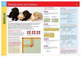 Multiplication and Division, Grades 3-4 edito da Flash Kids