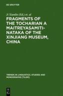 Fragments of the Tocharian a Maitreyasamiti-Nataka of the Xinjiang Museum, China edito da Walter de Gruyter