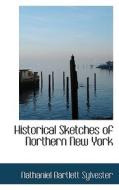 Historical Sketches Of Northern New York di Nathaniel Bartlett Sylvester edito da Bibliolife