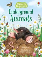Under The Ground di Emily Bone edito da Usborne Publishing Ltd