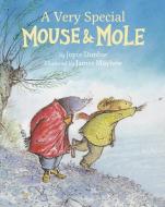 A Very Special Mouse and Mole di Joyce Dunbar edito da STAR BRIGHT BOOKS