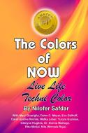 The Colors Of Now di Nilofer Safdar, Glenyce Hughes, Donna Martuge edito da Nilofer Safdar