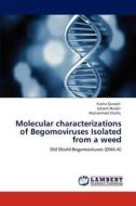 Molecular characterizations of Begomoviruses Isolated from a weed di Fasiha Qurashi, Saleem Haider, Muhammad Shafiq edito da LAP Lambert Academic Publishing