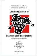 Clustering Aspects Of Quantum Many-body Systems - Proceedings Of The International Symposium On Post-symposium Of Ykis01 edito da World Scientific Publishing Co Pte Ltd