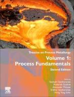 Treatise on Process Metallurgy: Volume 1: Process Fundamentals edito da ELSEVIER