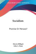 Socialism: Promise Or Menace? di Morris Hillquit, John A. Ryan edito da Kessinger Publishing, Llc