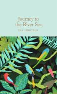 Journey To The River Sea di Eva Ibbotson edito da Pan Macmillan