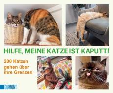 Hilfe, meine Katze ist kaputt edito da DuMont Buchverlag GmbH
